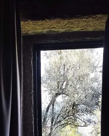 Casa Nova Oliveiras