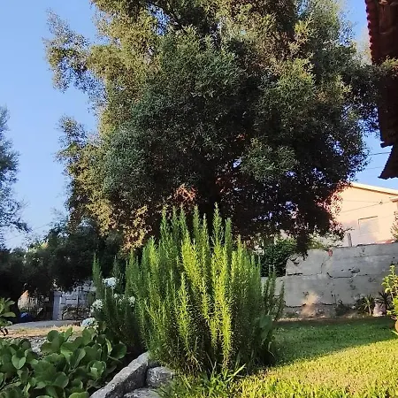 Casa Nova Oliveiras * Braga