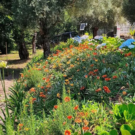 Casa Nova Oliveiras Holiday home *