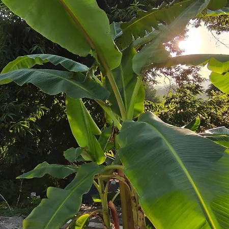 Сasa de vacaciones Casa Nova Oliveiras *