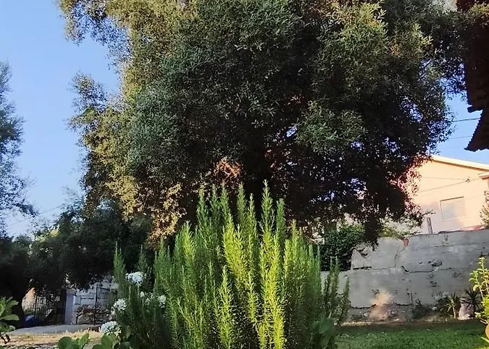 Casa Nova Oliveiras * Braga