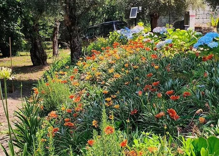 Casa Nova Oliveiras Casa vacanze *