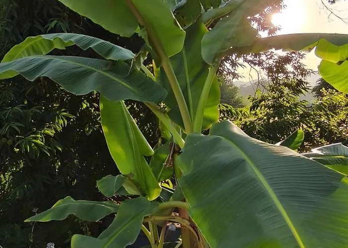 Casa vacanze Casa Nova Oliveiras *